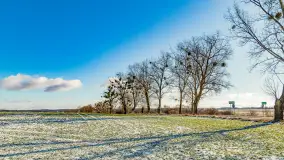 Rzeka Dajna i okolice, luty 2023 - zdjęcie 28