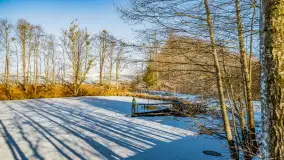 Rzeka Dajna i okolice, luty 2023 - zdjęcie 34