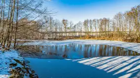 Rzeka Dajna i okolice, luty 2023 - zdjęcie 40