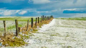 Rzeka Dajna i okolice, luty 2023 - zdjęcie 45