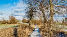 Rzeka Dajna i okolice, luty 2023 - zdjęcie 54