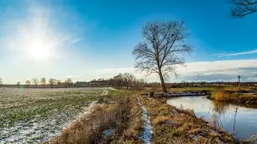 Rzeka Dajna i okolice, luty 2023 - zdjęcie 75