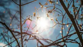 Zatoka Mrówcza, jezioro Ryńskie, luty 2023 - zdjęcie 21