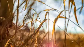 Zatoka Mrówcza, jezioro Ryńskie, luty 2023 - zdjęcie 42