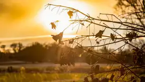 Zachód słońca w okolicy rzeki Guber, luty 2023 - zdjęcie 16