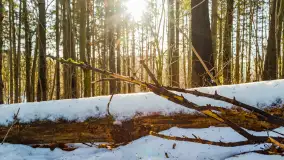 Spacer po lesie kętrzyńskim, górka poznańska i rzeka Guber - zdjęcie 17
