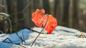 Spacer po lesie kętrzyńskim, górka poznańska i rzeka Guber - zdjęcie 5