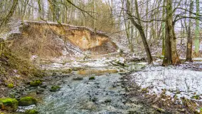 Spacer po lesie kętrzyńskim, górka poznańska i rzeka Guber - zdjęcie 29