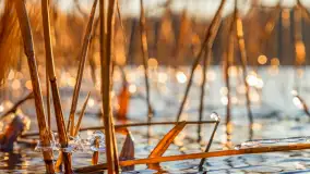 Zachód słońca nad jeziorem Ryńskim - zdjęcie 6