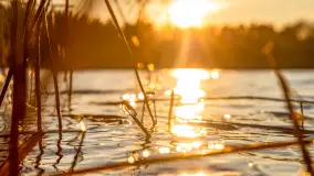Zachód słońca nad jeziorem Ryńskim - zdjęcie 10