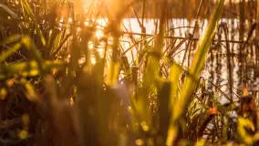 Zachód słońca nad jeziorem Ryńskim - zdjęcie 18