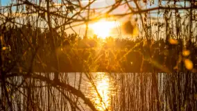 Zachód słońca nad jeziorem Ryńskim - zdjęcie 27