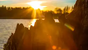 Zachód słońca nad jeziorem Ryńskim - zdjęcie 22