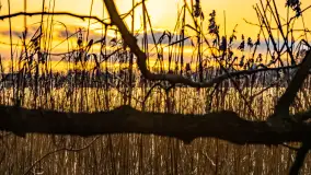 Zachód słońca nad jeziorem Mój, luty 2023 r. - zdjęcie 37