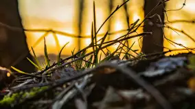 Kolejny zachód nad jeziorem Ryńskim, luty 2023 - zdjęcie 6