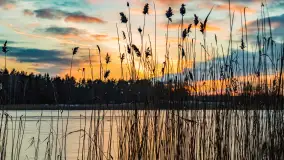 Kolejny zachód nad jeziorem Ryńskim, luty 2023 - zdjęcie 40