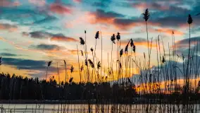 Kolejny zachód nad jeziorem Ryńskim, luty 2023 - zdjęcie 14