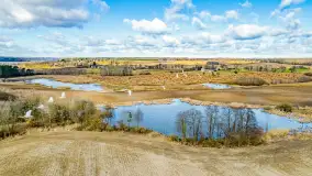 Wiosenne zbiorowiska ptaków, luty 2023 r. - zdjęcie 16