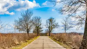 Wczesne przedwiośnie na Mazurach, luty 2023 r. - zdjęcie 38