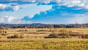 Wczesne przedwiośnie na Mazurach, luty 2023 r. - zdjęcie 2