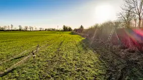 Wczesne przedwiośnie na Mazurach, luty 2023 r. - zdjęcie 21