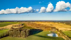 Wczesne przedwiośnie na Mazurach, luty 2023 r. - zdjęcie 12