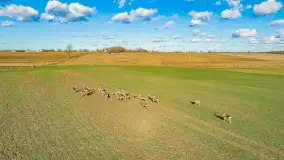 Wczesne przedwiośnie na Mazurach, luty 2023 r. - zdjęcie 64