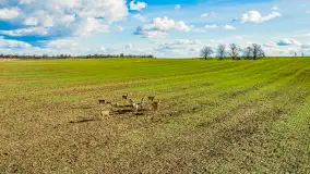 Wczesne przedwiośnie na Mazurach, luty 2023 r. - zdjęcie 75