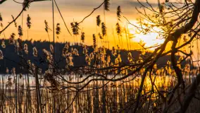 Zachód słońca nad jeziorem Siercze, luty 2023 - zdjęcie 16