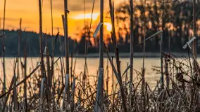 Zachód słońca nad jeziorem Siercze, luty 2023 - zdjęcie 13