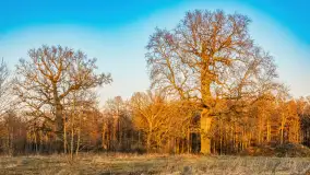 Zachód słońca nad jeziorem Kirsajty, luty 2023 r. - zdjęcie 10