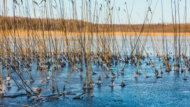 Słonecznie i zimowo przy moście Sztynorckim - zdjęcie 2