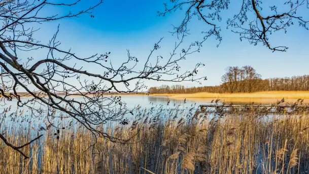 Słonecznie i zimowo przy moście Sztynorckim - zdjęcie 4