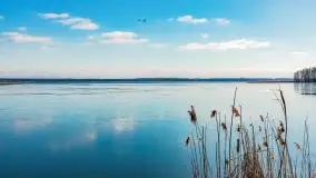 Słonecznie i zimowo przy moście Sztynorckim - zdjęcie 31