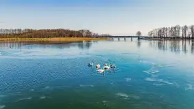 Słonecznie i zimowo przy moście Sztynorckim - zdjęcie 12