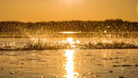 Zachód słońca nad jeziorem Mamry, luty 2023 r. - zdjęcie 37