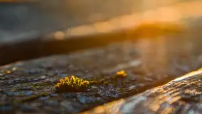 Zachód słońca nad jeziorem Gołdopiwo, marzec 2023 r. - zdjęcie 22