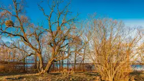 Zachód słońca nad jeziorem Gołdopiwo, marzec 2023 r. - zdjęcie 3