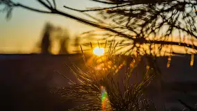 Zachód słońca nad jeziorem Gołdopiwo, marzec 2023 r. - zdjęcie 12