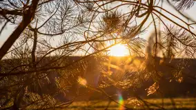 Zachód słońca nad jeziorem Gołdopiwo, marzec 2023 r. - zdjęcie 14