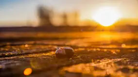 Zachód słońca nad jeziorem Gołdopiwo, marzec 2023 r. - zdjęcie 6