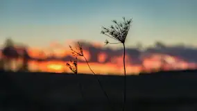 Zachód słońca nad jeziorem Gołdopiwo, marzec 2023 r. - zdjęcie 13