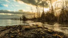 Zachód słońca nad Niegocinem widoczny z dzikiej plaży - zdjęcie 28