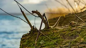 Zachód słońca nad Niegocinem widoczny z dzikiej plaży - zdjęcie 49