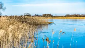 Port Millennium Żurawi Kąt przygotowuje się do sezonu, luty 2023 - zdjęcie 18