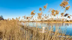 Port Millennium Żurawi Kąt przygotowuje się do sezonu, luty 2023 - zdjęcie 11