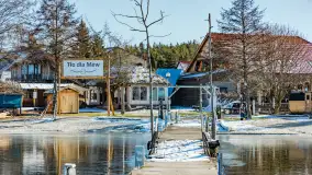 Tło dla Mew u progu nowego sezonu 2023 - zdjęcie 12