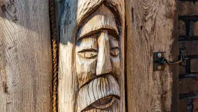 Tło dla Mew u progu nowego sezonu 2023 - zdjęcie 19