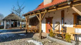 Tło dla Mew u progu nowego sezonu 2023 - zdjęcie 8