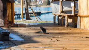 Tło dla Mew u progu nowego sezonu 2023 - zdjęcie 11